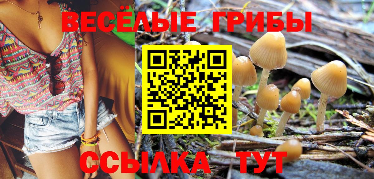 Людиново  Галлюциногенные грибы Magic Shrooms  Вход с VPN  Галлюциногенные грибы ЛСД 